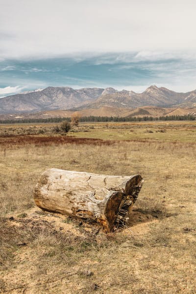 highdesert