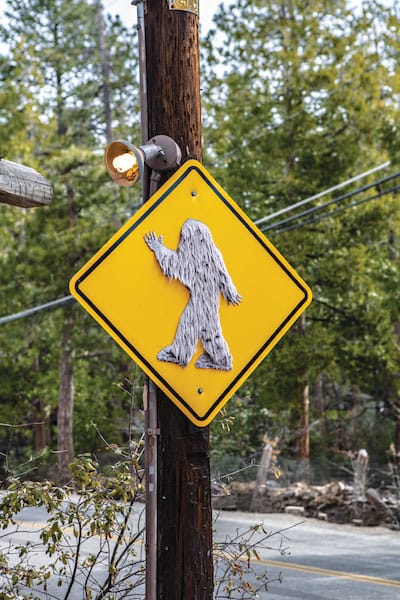 idyllwild