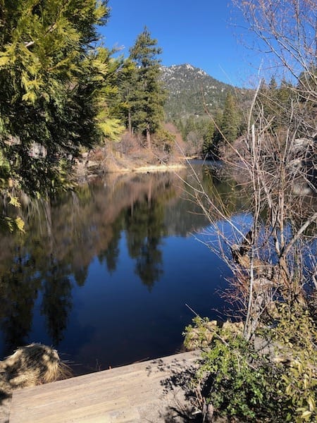 lakefulmorfishing