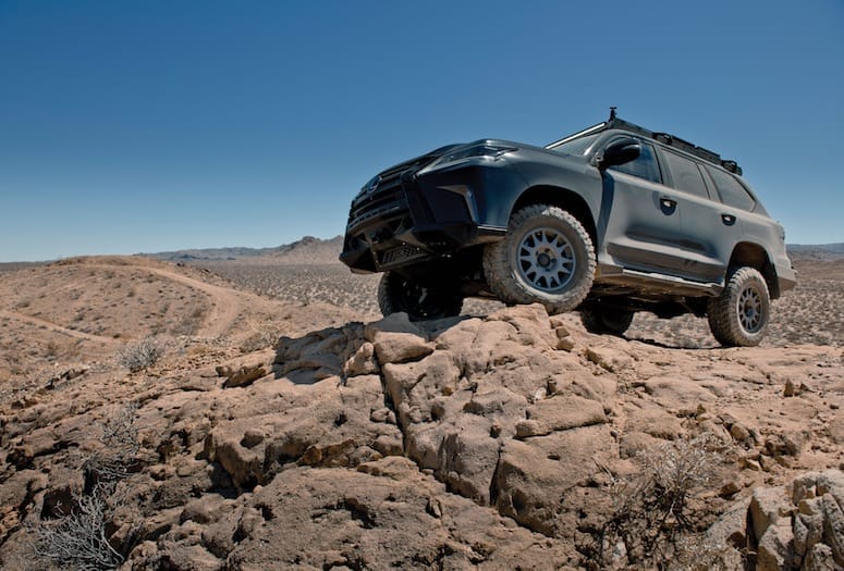 Freedom to Roam