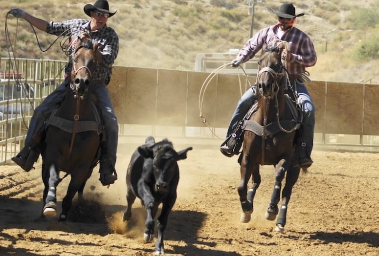 Ride ‘Em Cowboy